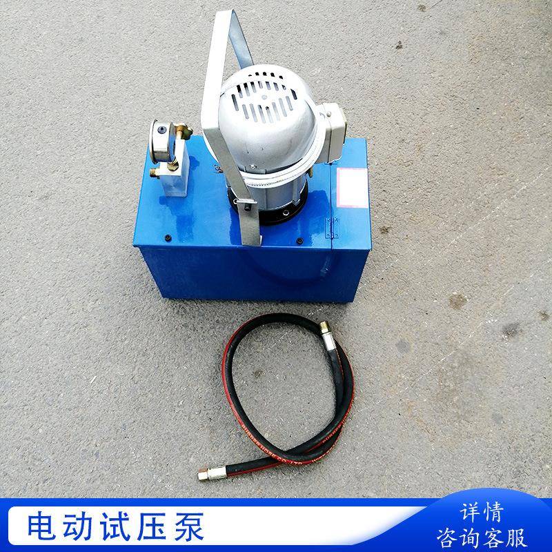 DSB-6./10手提式电动试压泵管道压力机 地暖检漏打压泵