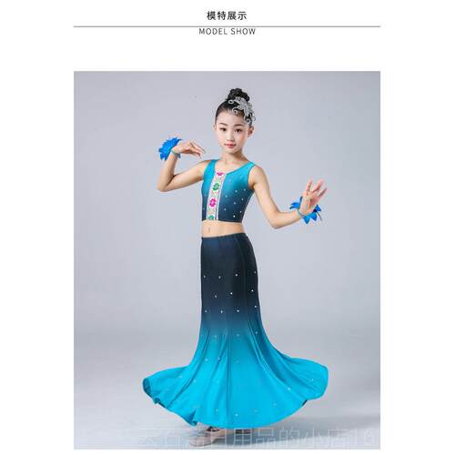 高档演裙新傣荐族舞蹈表服、孔雀舞裙、教师推民族舞蹈练习、等级
