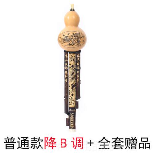高档子乐葫芦丝专业竹演奏型成小学生调降b小dagf调云c南紫人初学