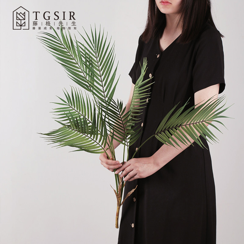 仿真散尾葵绿植物棕榈树叶凤尾葵客厅电视柜装饰插花假花拍照道具