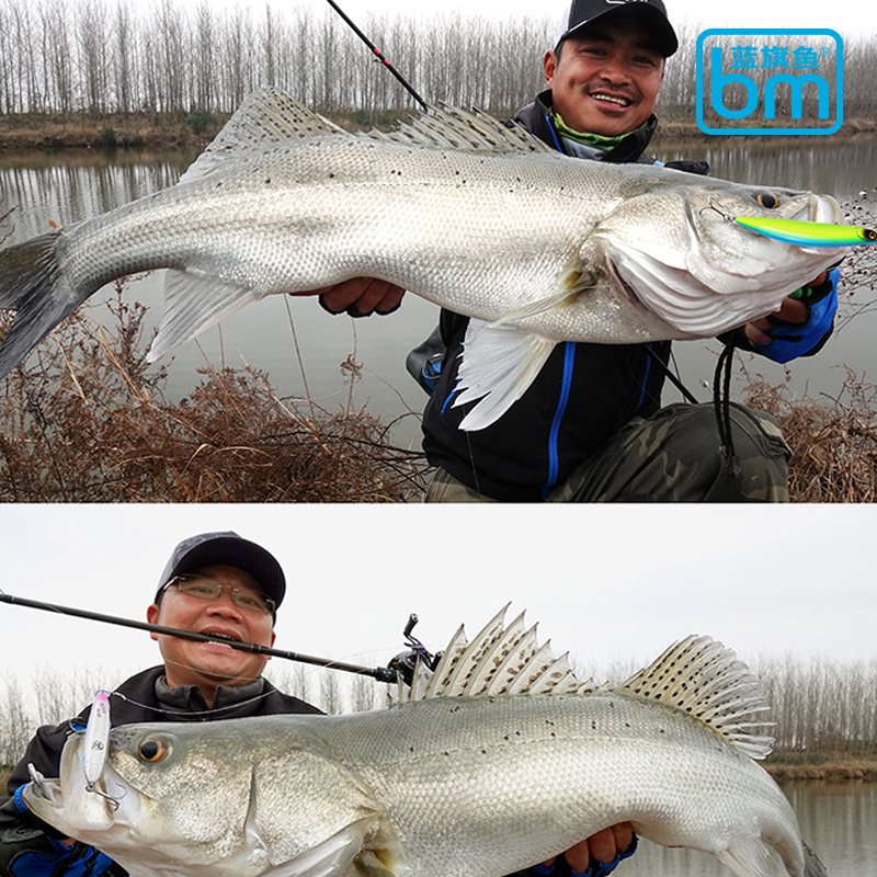 蓝旗鱼鲌客超投米诺弹道沉水浮水浅潜翘嘴鱤鱼军鱼鲈鱼路亚饵