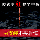 夜光漂咬钩变色重力感应电子漂日夜两用超亮夜钓高灵敏纳米鲫鱼漂