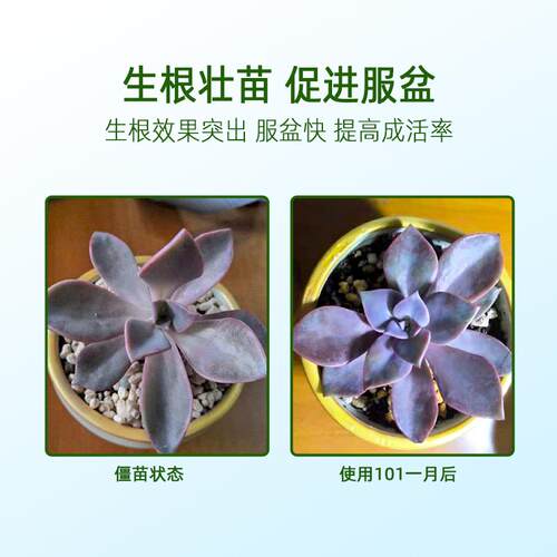 HB101植物活力素喷雾免稀释植物营养液促生根服盆有机通用型
