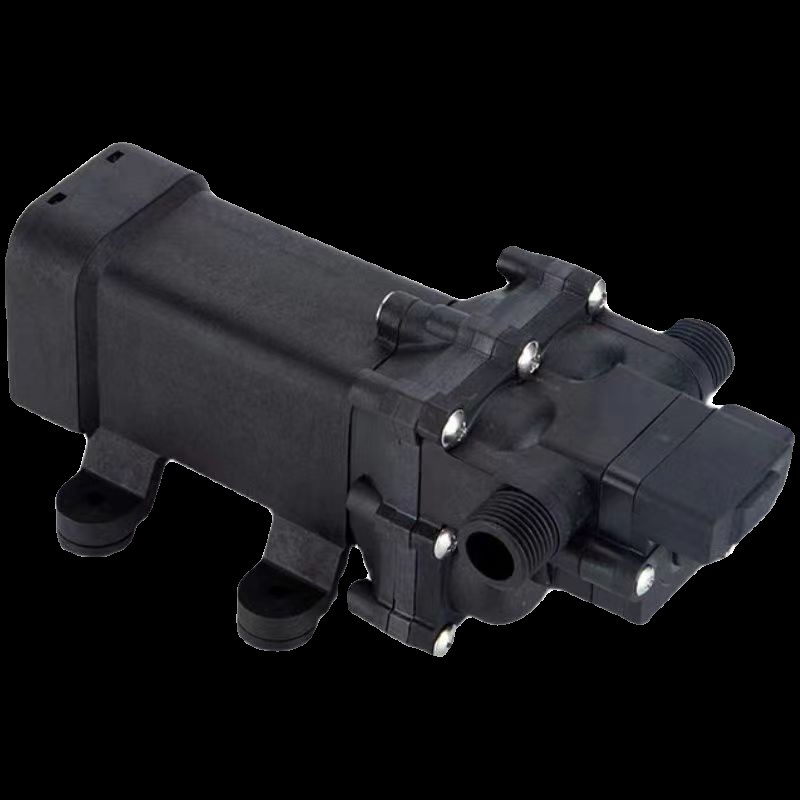 博今DP10隔膜泵V2V洗车机L大流量泵浇花智能水泵