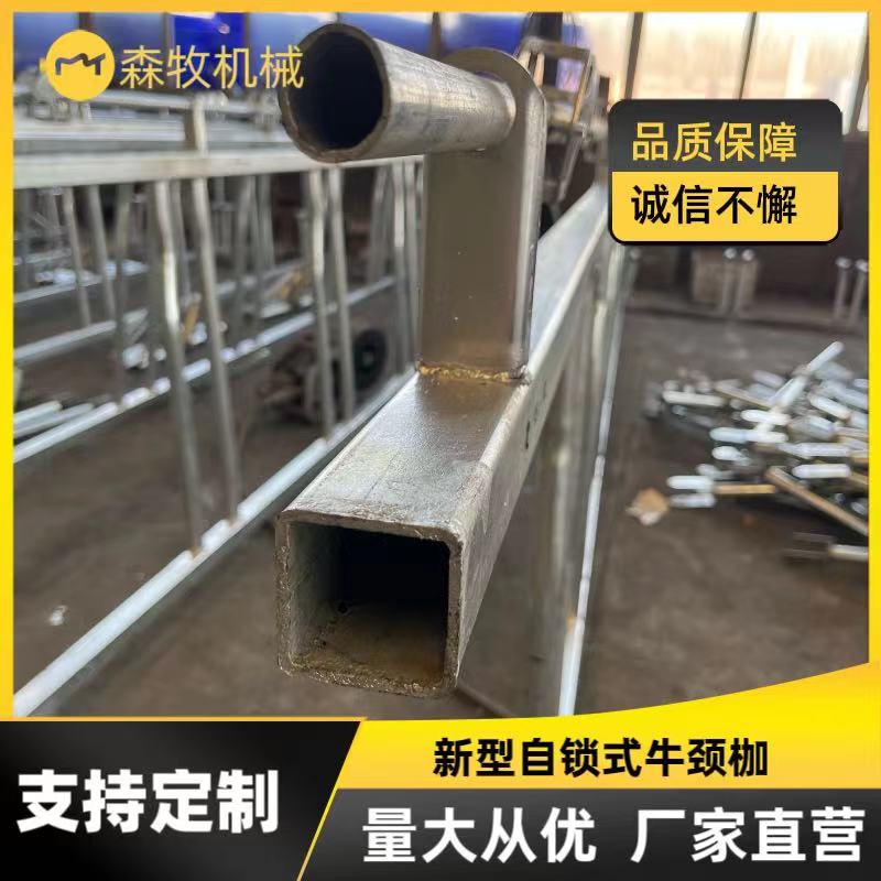牛颈夹牛颈枷自锁式牛颈夹加厚热浸镀锌养殖场设备一牛一位厂家供