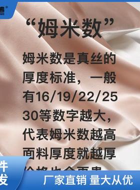 真丝枕巾30姆米枕套桑蚕丝丝绸夏季枕头套信封式乳胶枕套一件王之