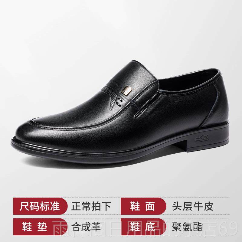 正品卷菜心色斑蝽