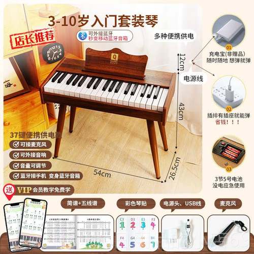 正品俏娃子木质儿童钢琴电琴学宝宝初幼儿男小女孩玩具生日周岁礼