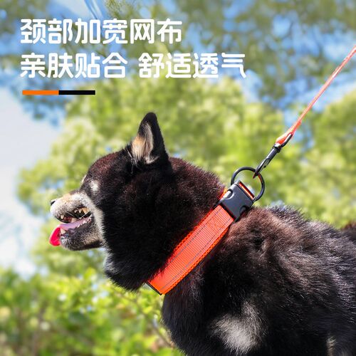 可可哈尼狗狗牵引绳防滑反光尼龙绳狗绳大型犬小型犬遛狗舒适耐用