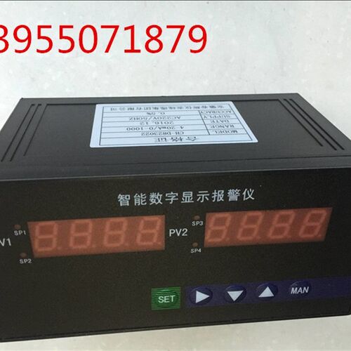 智能数显报警仪闪光报警仪PT100温度探头 温度传感器铂热电阻探头