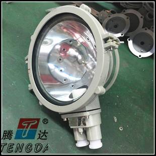 100W白炽灯泡 内装 防爆吸顶灯灯罩 100W防爆吸顶灯 BXL