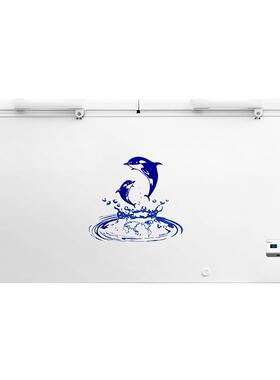 澳柯玛-36度商用低温冰柜 BC/BD-535 430HDNE