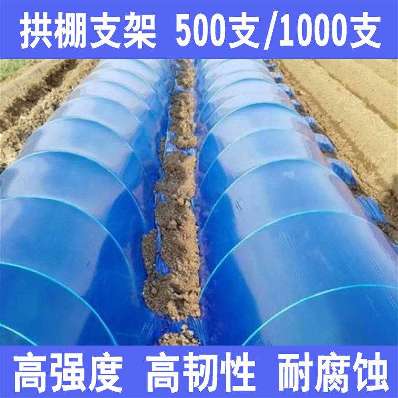 【100支装】小拱棚支架拱杆竿大棚内棚棚骨架玻璃纤维杆地膜园