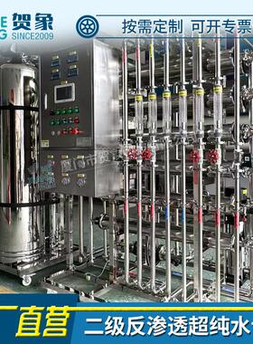 大型二级反渗透3水处理机RO膜双级4工业纯净水5过滤设备100吨厂家