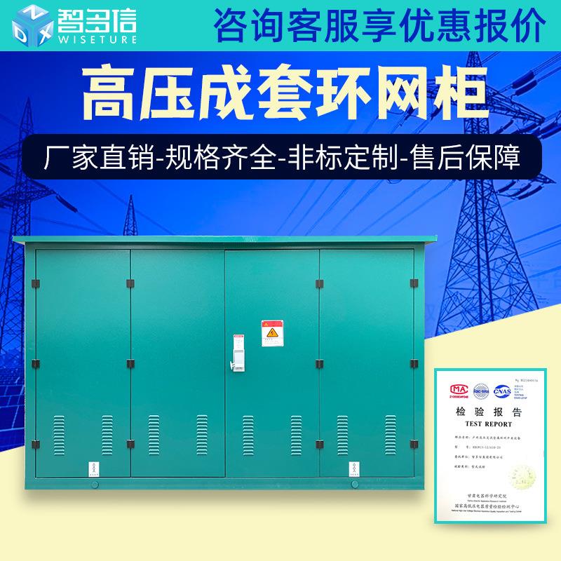 10kv高压环网柜HXGN15-12开闭所SF6充气柜成套开关柜电缆分支箱