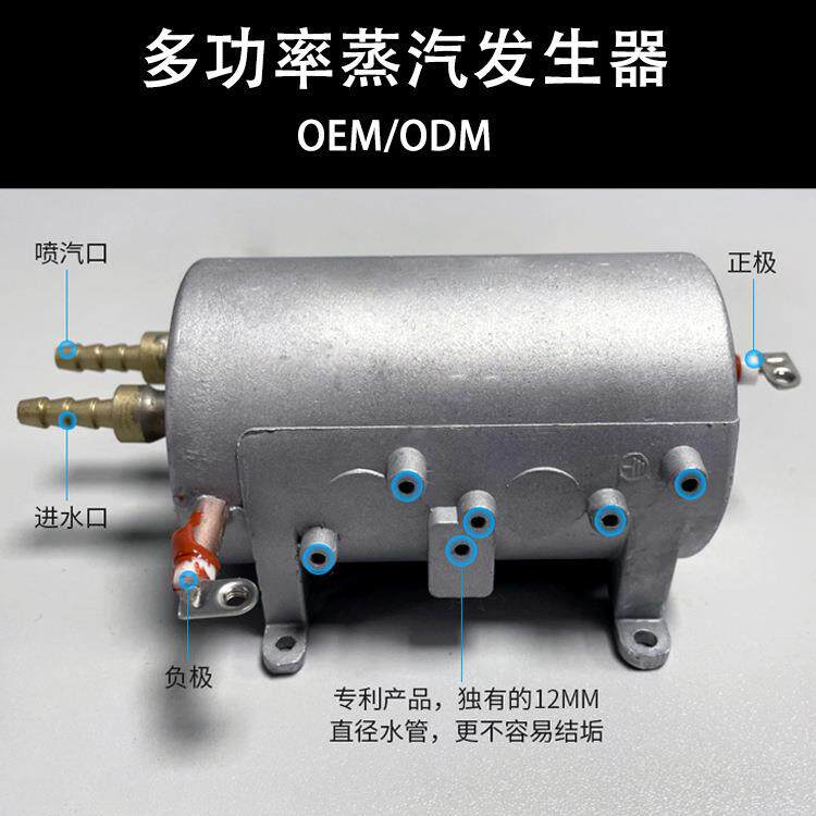 厂家直销 微型蒸汽发生器 电热蒸汽机发热体 高温高压即热式 家用