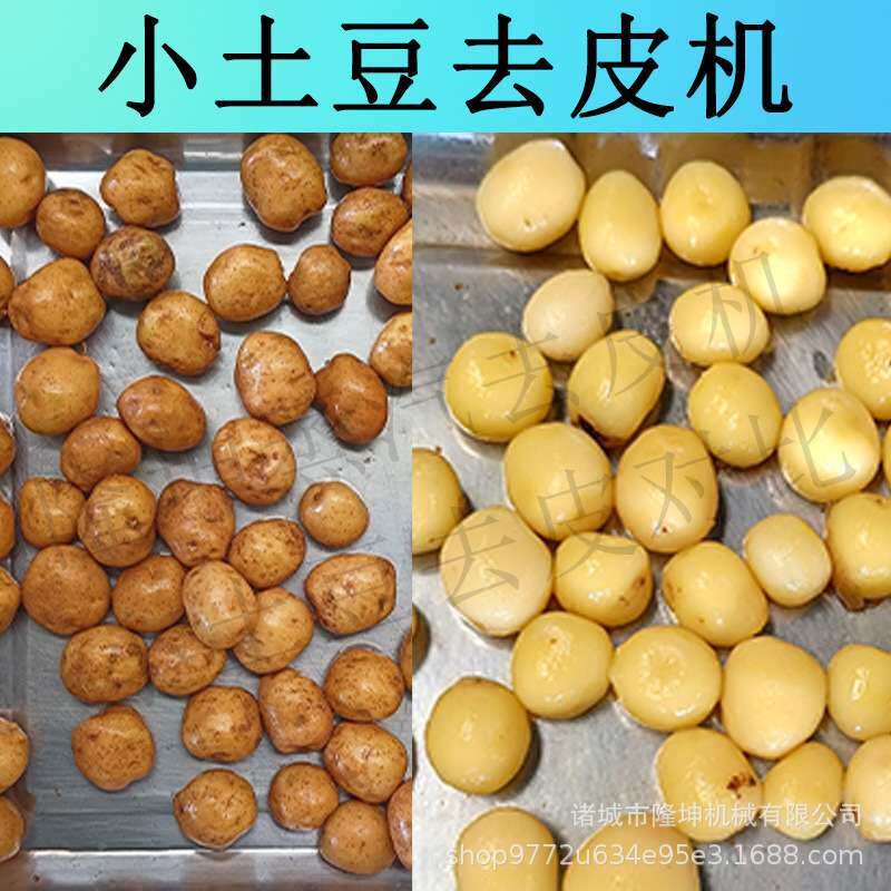 全自动大小土豆去皮机 多功能黄桃葡萄剥皮机 大型商用红薯脱皮机