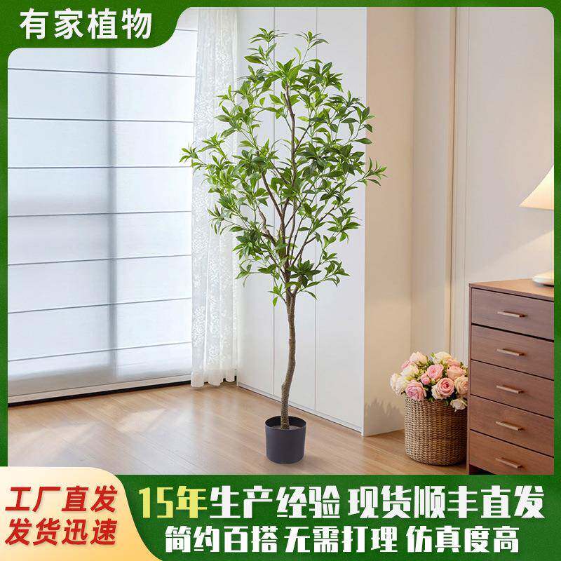 仿真绿植马醉木大型落地植物盆栽室内家居橱窗装饰摆件假树吊钟树