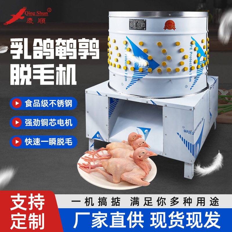 加大型乳鸽鹌鹑脱毛机商用不锈钢自动去毛机家禽脱毛机厂家