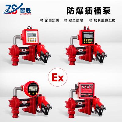 直流防爆自吸电动计量组合套 汽油防爆泵 DC Ex-Proof Fuel Trans