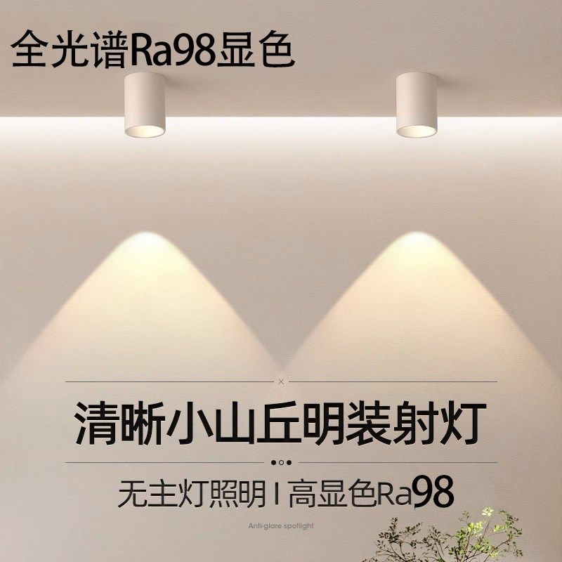 明装筒灯家用过道灯原木风客厅防眩射灯卧室免开孔吸顶圆形无主灯