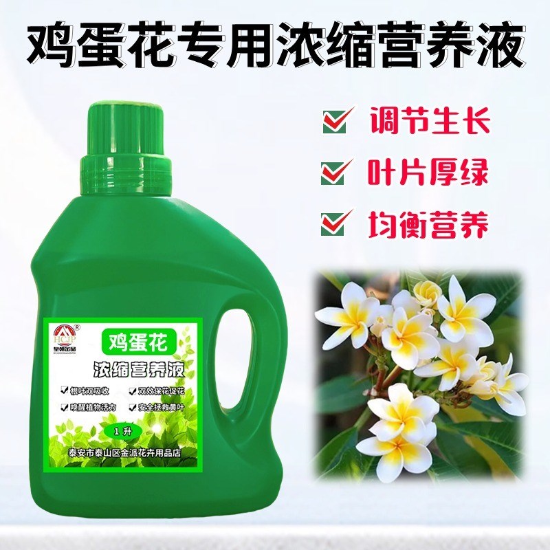 鸡蛋花缅栀子专用浓缩营养液盆栽绿植物树苗黄叶开花通用花卉肥料