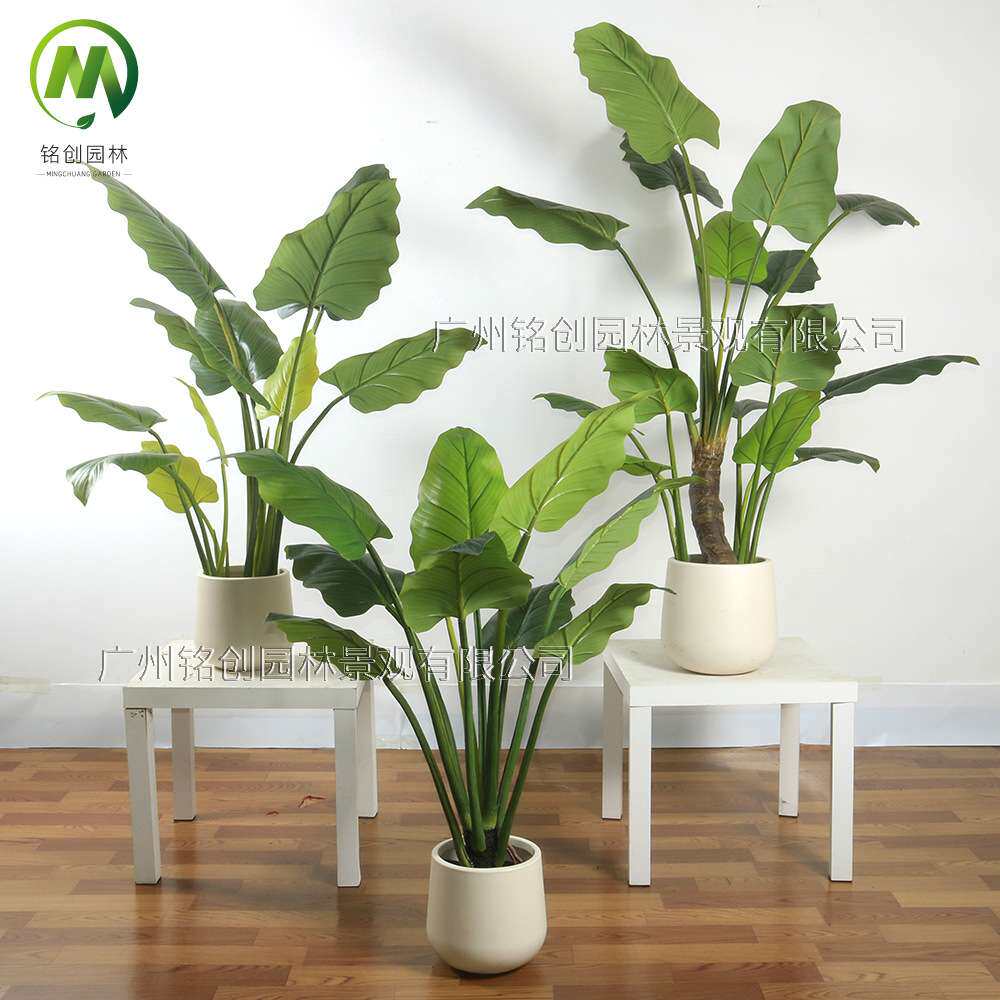 仿真绿植假树室内家居装饰植物 商业美陈植物摆件大型绿帝王盆栽