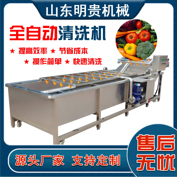 鼓泡式青椒蔬菜清洗机果蔬气浴翻浪清洗机连续式自动洗菜机