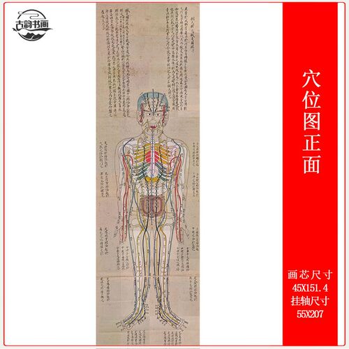 针灸穴位五脏六腑图古代医学经络参考绘画中医养生馆挂画挂轴装裱