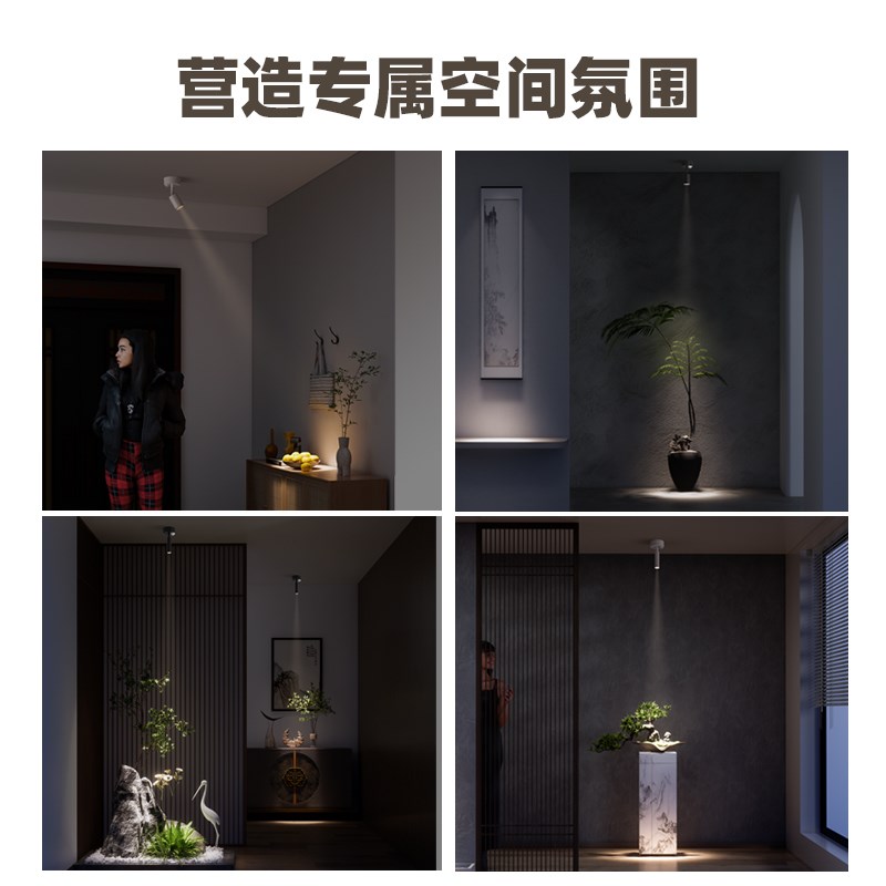 明装感应射灯吸顶式3度8度光束小角度入户玄关15度小束聚光氛围灯