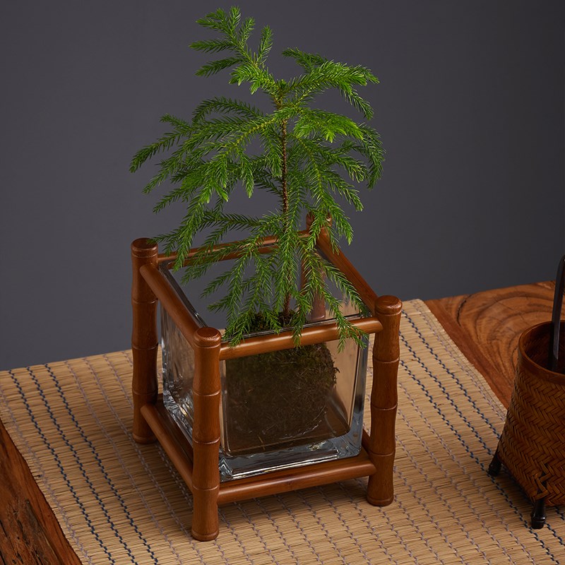 桌面竹制小花架新款茶室盆景装饰花几绿植小鱼缸架台面水培摆放架
