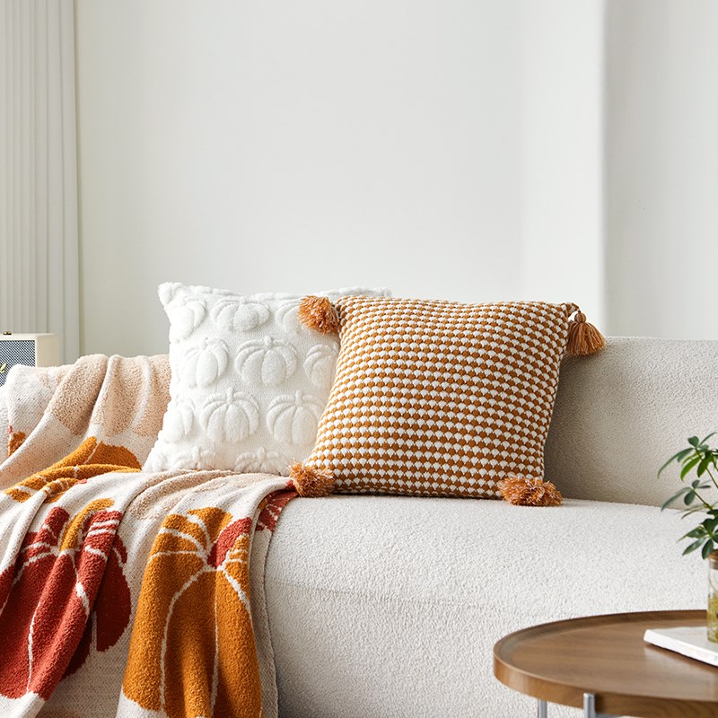 20新款沙发靠背垫客厅沙发抱枕飘窗腰靠垫创意抱枕靠枕不含芯