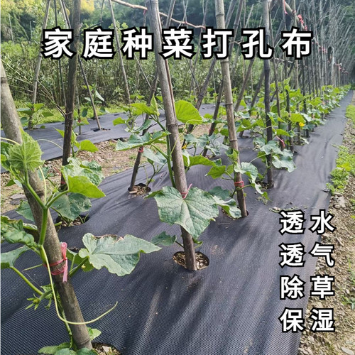 家庭菜园种菜打孔布除草保湿透水透气农用地膜绿色环保可降解地布