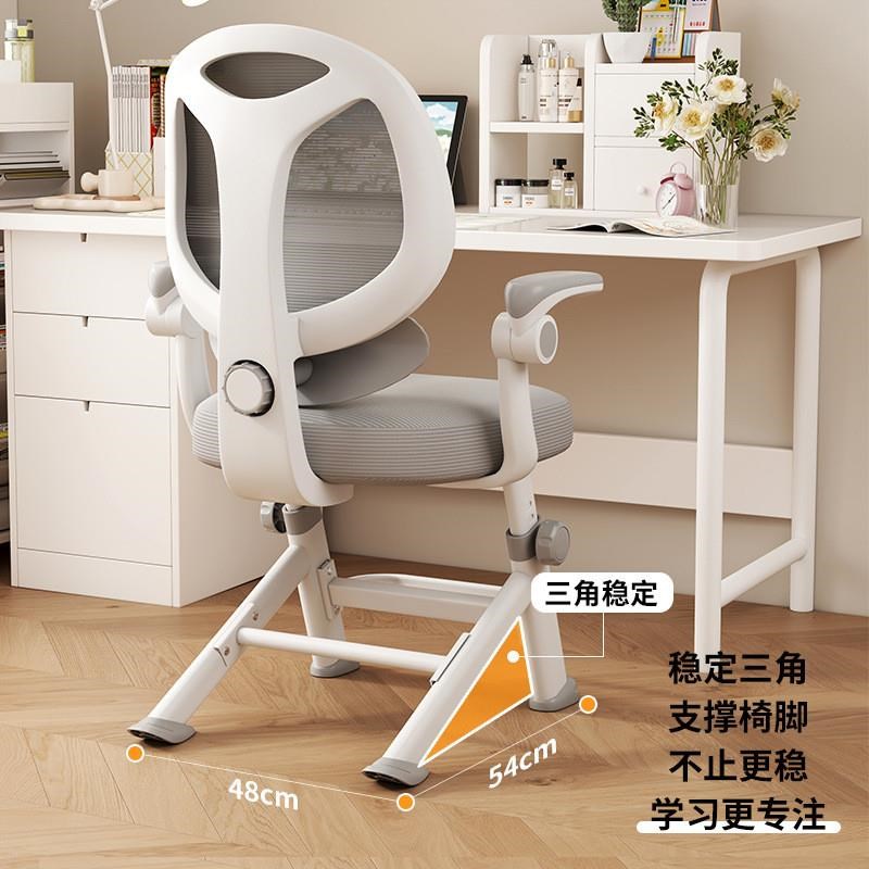 儿童学习椅小学生写字作业书桌椅家用简约中学生课桌椅可升降椅子