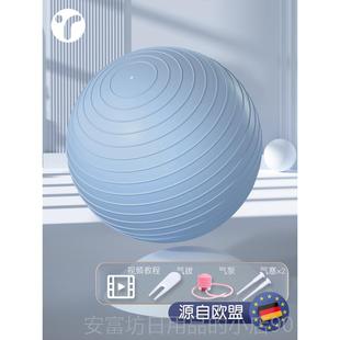 正品 伽球儿感统训练加瑜厚防爆婴童儿宝宝触觉大龙按摩球平衡球早