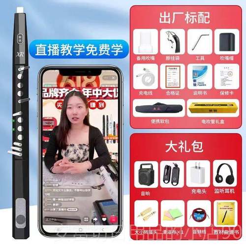 正品新锐XR600中老年人0电管乐器新款子笛萨克斯零基吹础初学电吹