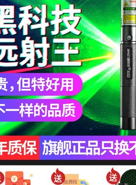 惠斯特303D 大功率激光笔绿光雷射笔售楼射笔usb充电强光远射激