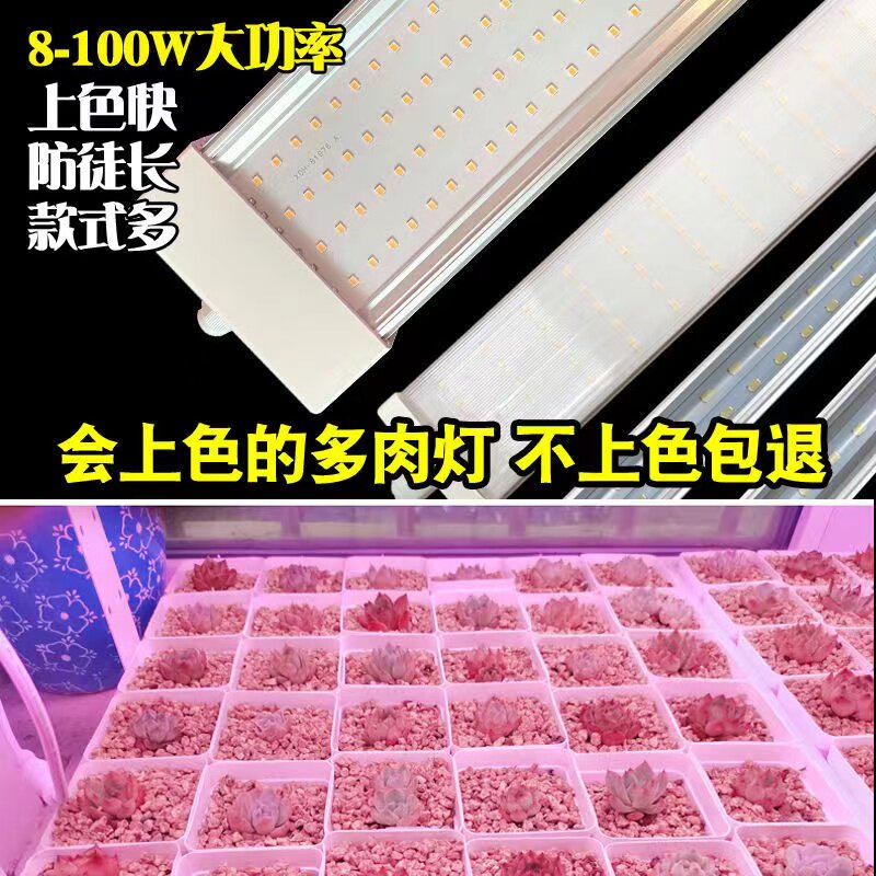 LED全光谱植物补光灯多肉灯防徒长家用上色快室内阳光花卉育苗灯