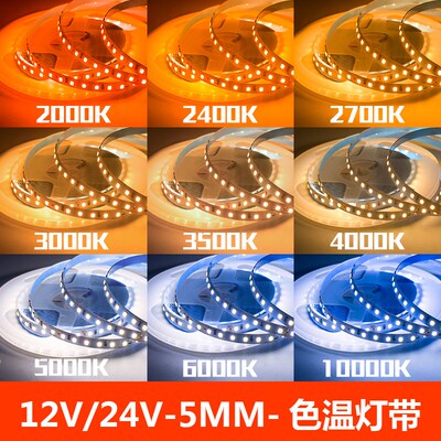 12V24V5MM2000K2400K2700K3000K4000K5000K6000K10000K色温灯带