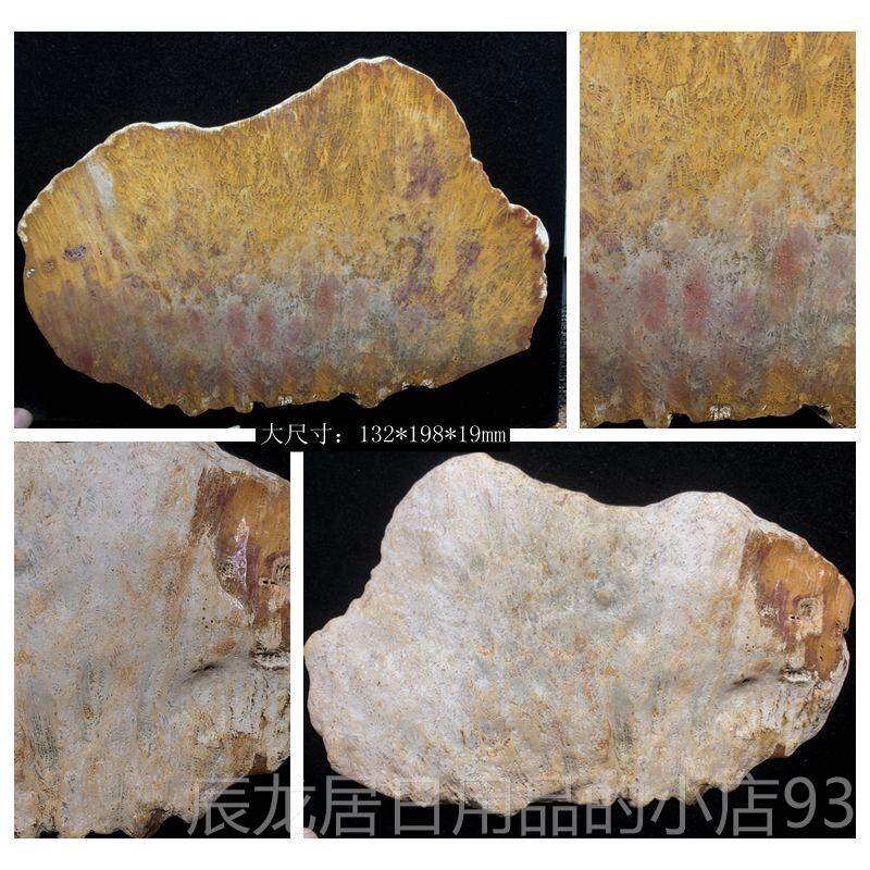 正品尼原矿手天然珊瑚玉原石矿料摆件菊花玉石把件片装饰印饰品料