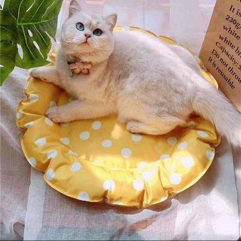 韩系波点宠物冰垫猫咪凉床猫窝泰迪法斗柯基清凉狗床散热垫子狗窝,宠物/宠物食品及用品,狗窝/屋/帐篷/沙发,淘宝优惠券,粉丝福利购,淘宝优惠卷