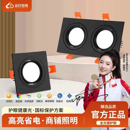 双头筒灯嵌入式led天花灯长方形开孔16*8公分斗胆灯客厅过道筒灯