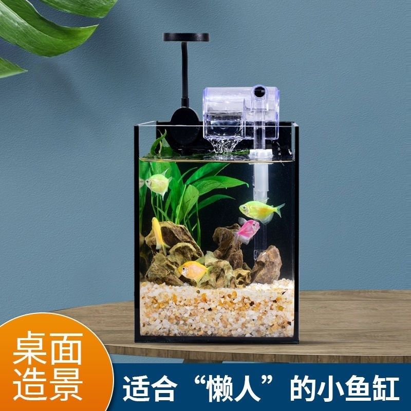 新型鱼缸免打理生态鱼缸养鱼专用缸家用不用换水的乌龟缸超白桌面,宠物/宠物食品及用品,桌面缸,淘宝优惠券,粉丝福利购,淘宝优惠卷