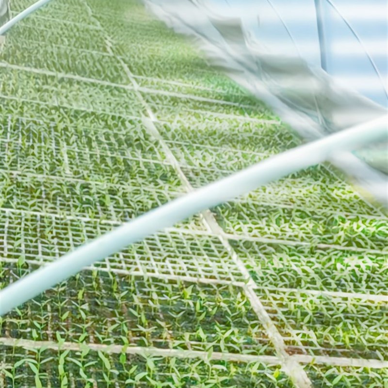 20支装农用拱棚支架温室玻璃纤维杆,玻纤棒,小拱棚杆