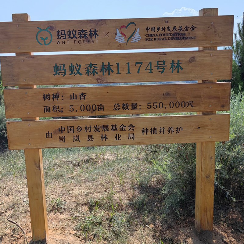 定制蚂蚁森林林号防腐木宣传栏指引牌露营地导向牌标识花草警示牌