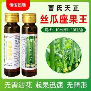 丝瓜坐果灵座果王丝瓜专用座果剂丝瓜坐果药丝瓜拉长拉直顶花顺直