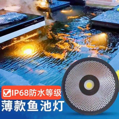 水池灯鱼池灯明装防水超薄款冰蓝光暖光低压DC24V