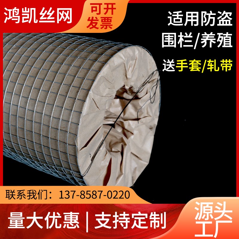 热镀锌电焊网养殖网养鸡网防鼠蛇网小孔笼网防护网抹灰抹墙铁丝网