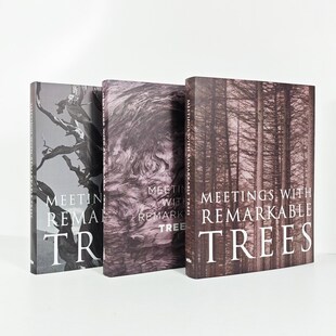 森林大树风景英文样板间真书装 书籍摆件拍照摄影道具 饰品摆件软装