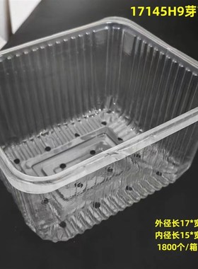 芽菜种植盒尺寸17149带漏水孔水培蔬菜盒带盖子黑豆苗豌豆苗